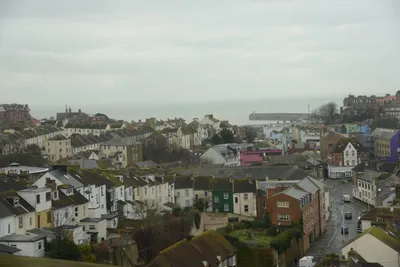 DSC_1254 (Large).JPG